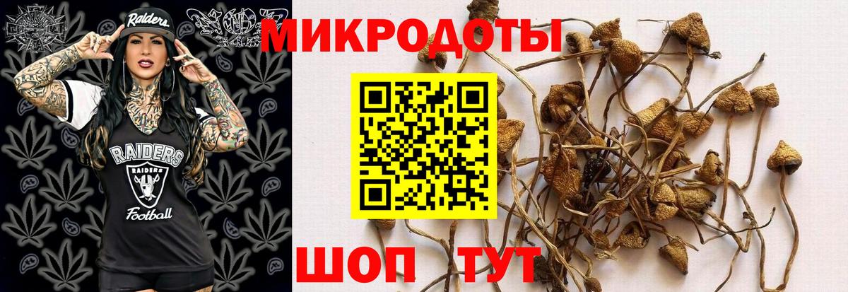 Чернушка  Псилоцибиновые грибы мухоморы  Вход с VPN 